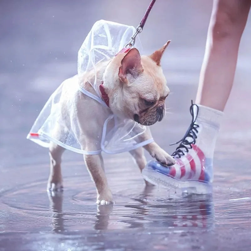 Clear Waterproof Dog Raincoat Small Medium Size Pet Poncho Jacket for Teddy Shiba Outdoor Walking Weather Protection